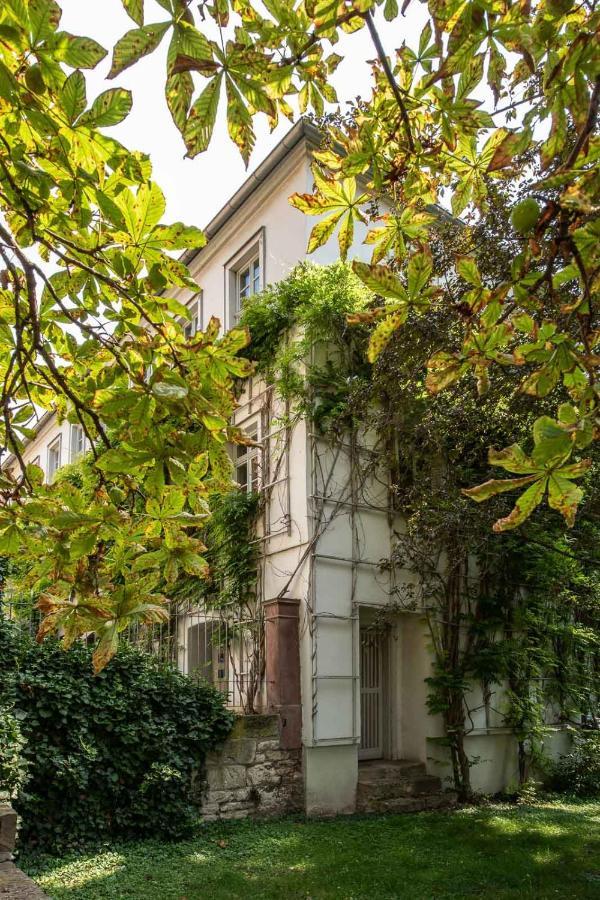 Ferienwohnung Am Dom Naumburg  Buitenkant foto
