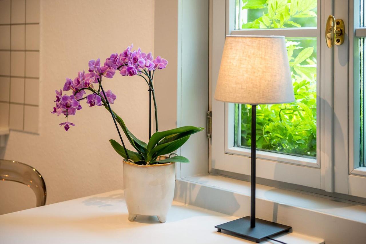 Ferienwohnung Am Dom Naumburg  Buitenkant foto